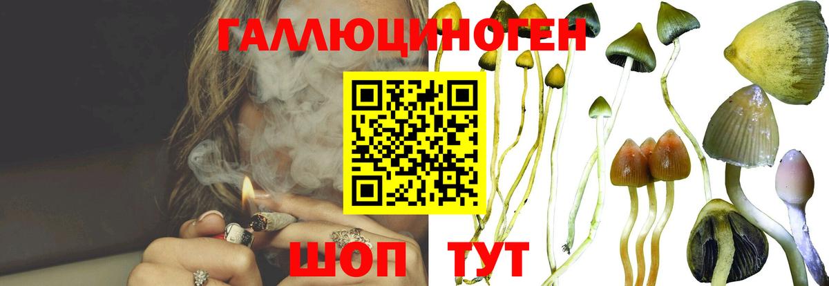 Татарск  Галлюциногенные грибы мухоморы  Вход с VPN 