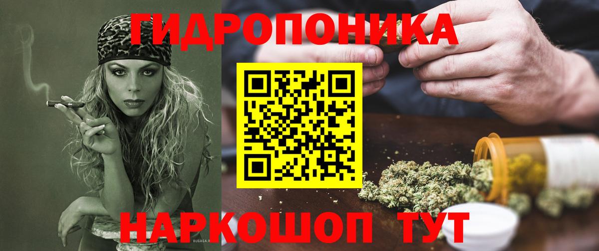 Канабис конопля  Шишки марихуана OG Kush  Вход с VPN  Конопля индика  Татарск 